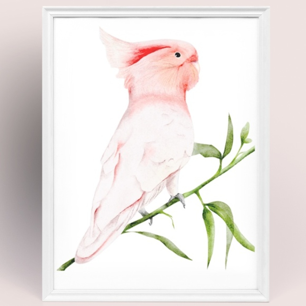 Wall Art Major Michell's Cockatoo Print Unframed - Picture 4 of 6